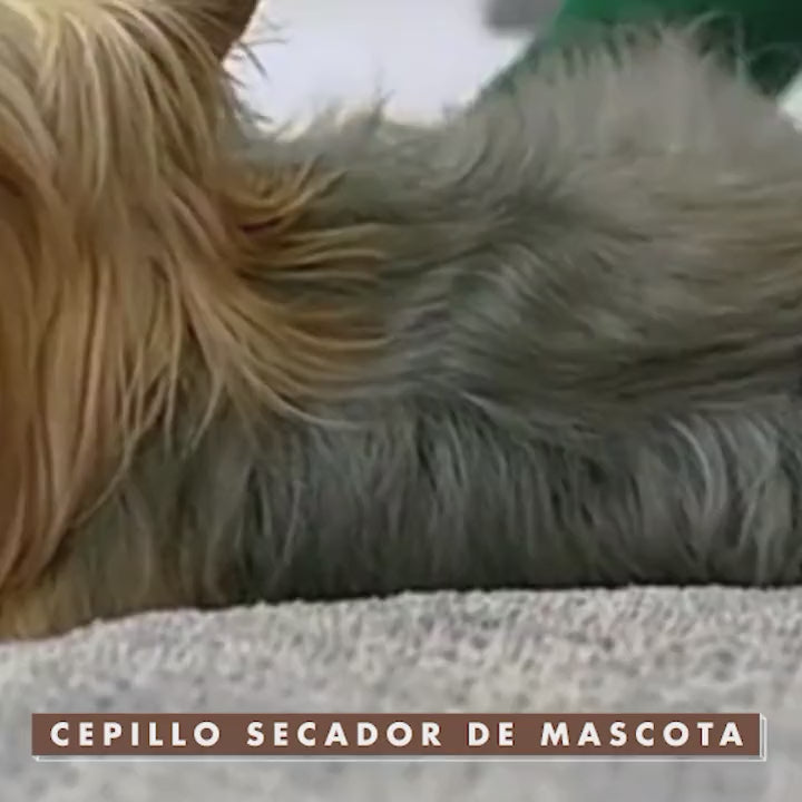 Cargar video: 